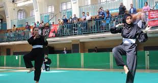 Pendidikan Karakter Lewat Pencak Silat: Lebih dari Sekadar Bela Diri