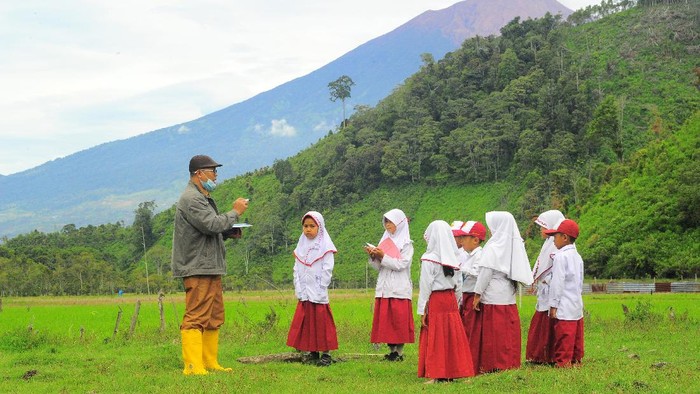 Pendidikan Petani Modern: Strategi Meningkatkan Produktivitas dan Kesejahteraan
